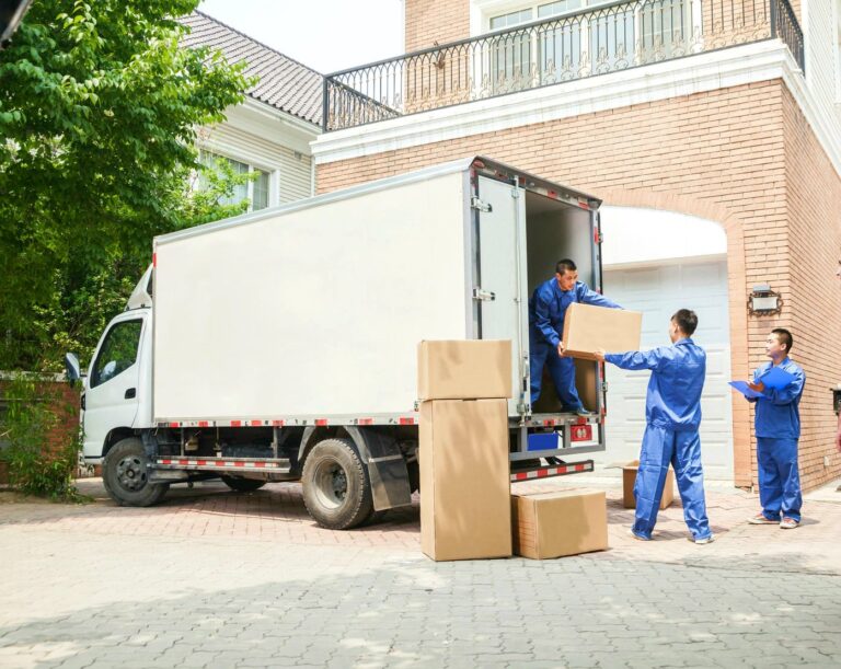 Bolha Simples - CAPA BOLHA SIMPLES-min